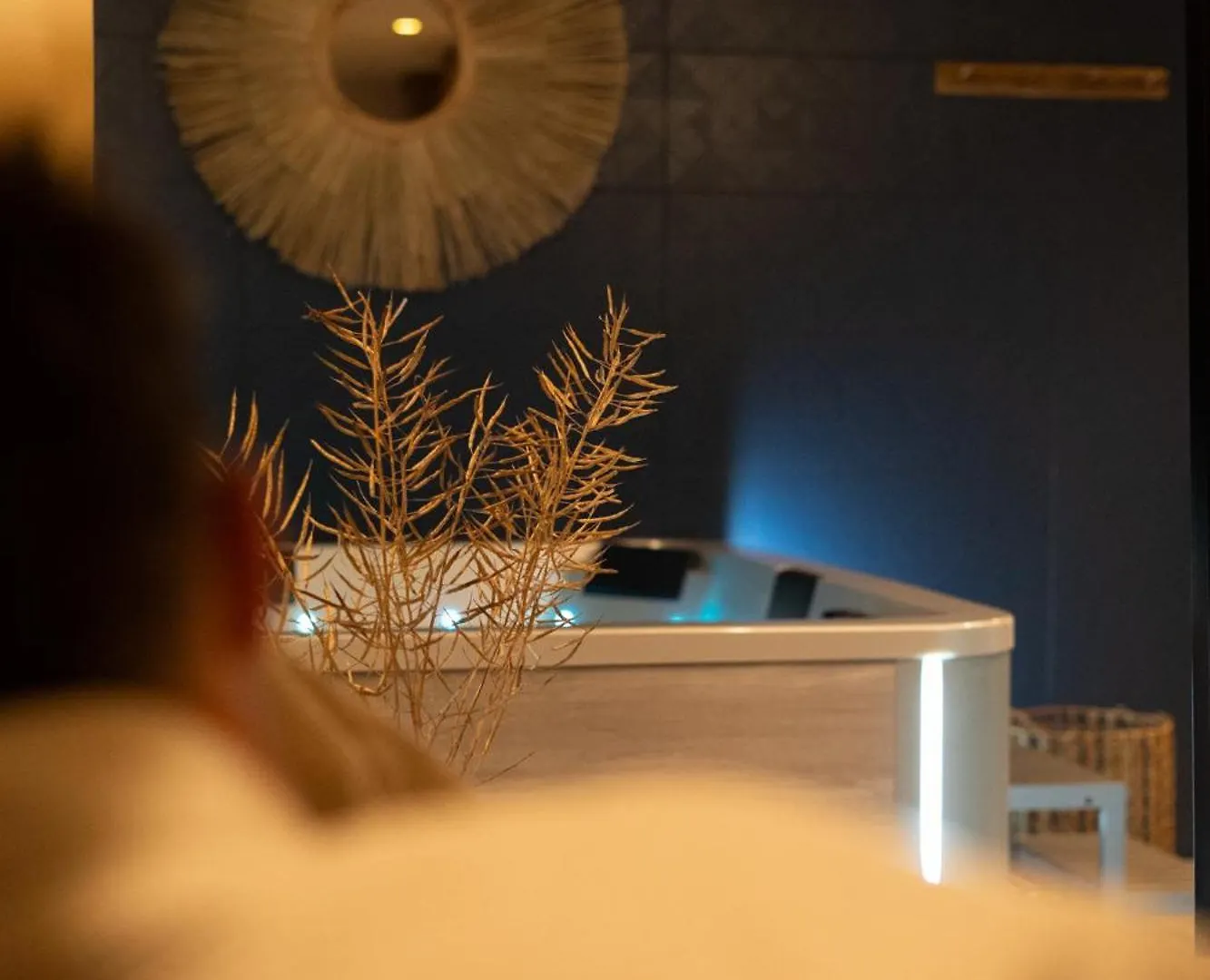 Pandora Spa Лилль Отель